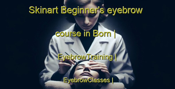 Skinart Beginner's eyebrow course in Born | EyebrowTraining | EyebrowClasses | SkinartTraining-Sweden
